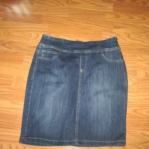 Christopher & Banks 12P Denim skirt